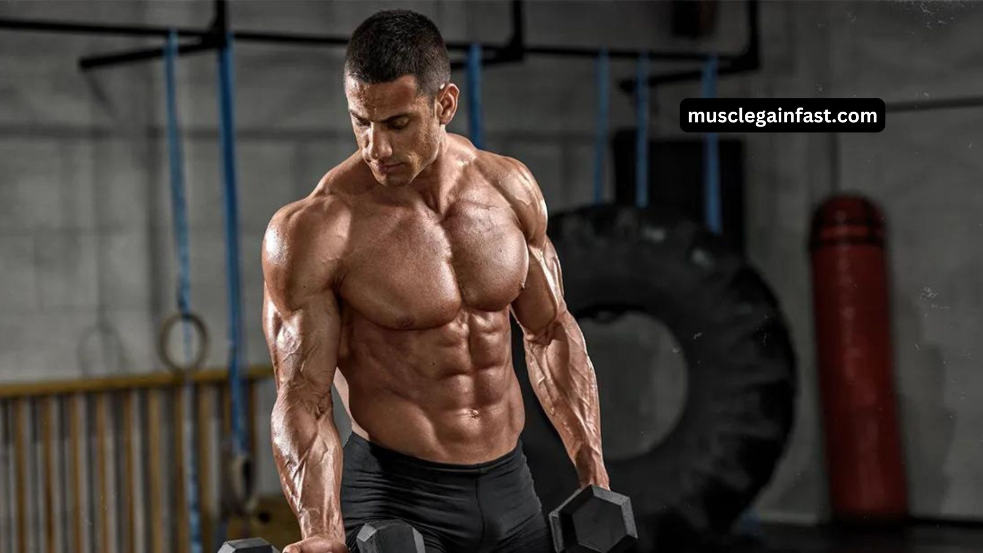 Building a Bodybuilder Physique